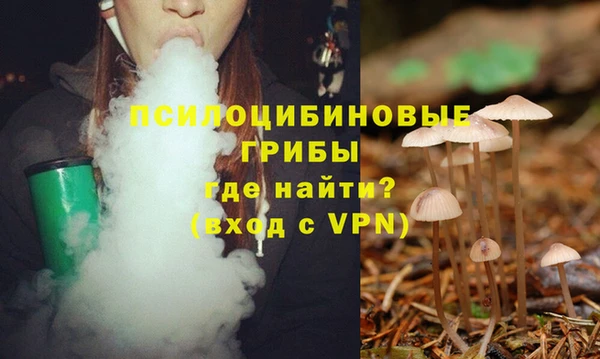 гидропоника Костерёво