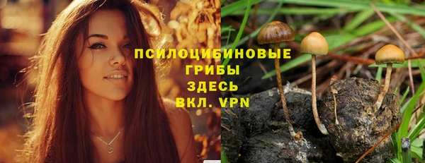молекула духа Ростов