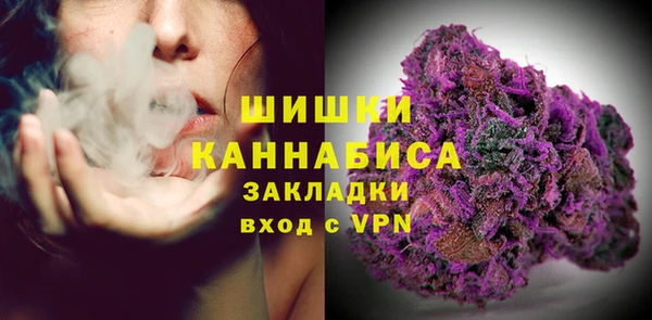 молекула духа Ростов