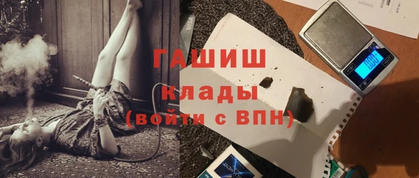 шишки Корсаков