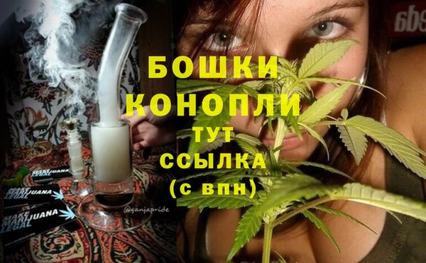 шишки Корсаков
